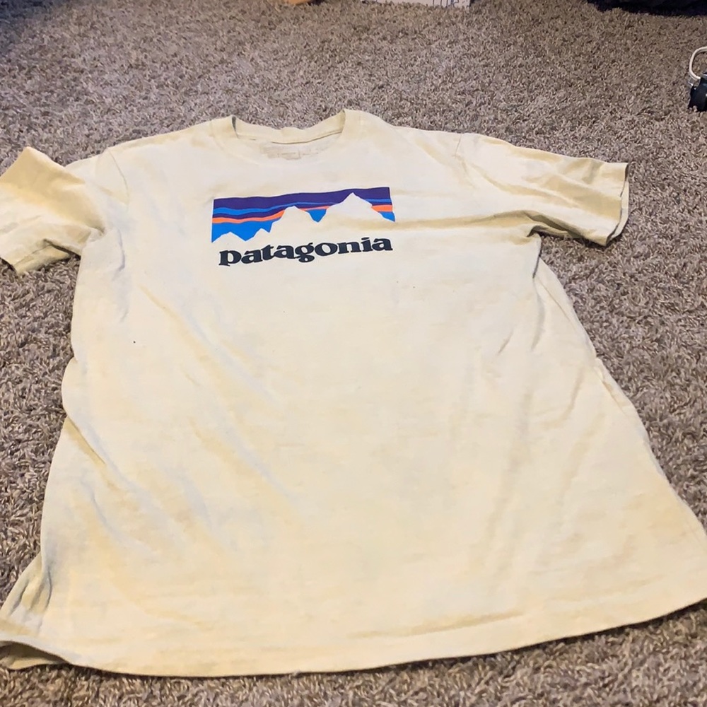 Yellow Patagonia